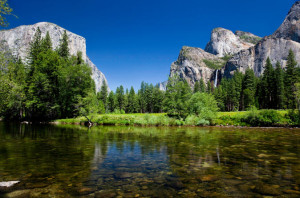 yosemite-national-park-and-giant-sequoias-trip-in-san-francisco-117263