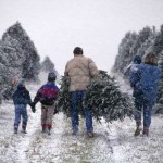 Take a Piece of Lake Tahoe Home for the Holidays