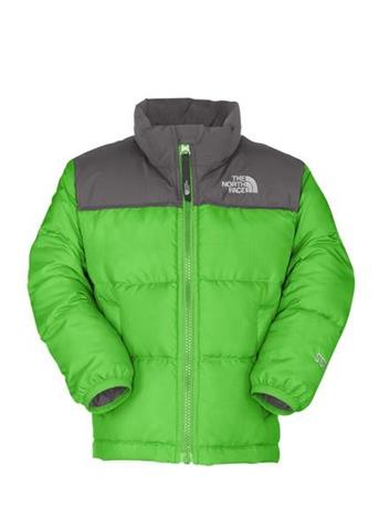 Toddler Nuptse Jacket (Glo Green/Graphite Grey)