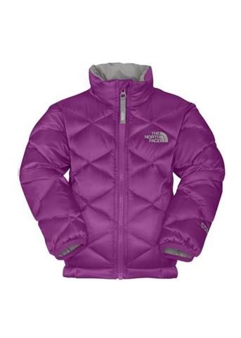 Toddler Aconcagua Jacket (Premiere Purple)