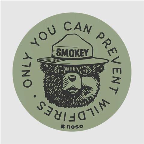 Smokey Bear Patch Collection
