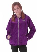 Girls Oso Hoodie (Premiere Purple) - The North Face Girls Oso Hoodie (Premiere Purple)