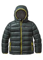  Boys Hi-Loft Down Sweater Hoody - Nouveau Green - Patagonia Boys Down Sweater - WinterKids.com