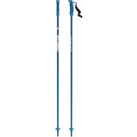 AMT Jr Ski Poles - Blue