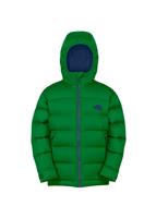 Boys Roll Down Jacket (Rad Green) - The North Face Boys Roll Down Jacket (Rad Green) Studio