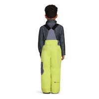 Boy's Volt Bib Pant - Chameleon