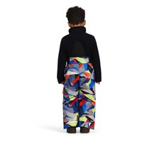 Boy's Volt Print Bib Pant - Kaleido / Slope