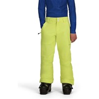Teen Boy's Brisk Pant - Chameleon