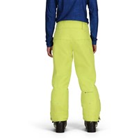 Teen Boy's Brisk Pant - Chameleon
