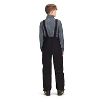 Teen Boy's Carver Bib Pant - Black