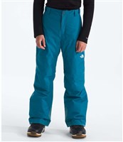 スキー The North Face Men's Freedom Pant Amazon.com: THE NORTH FACE Men's Freedom Pant | Waterproof