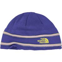 The North Face TNF Logo Beanie - Youth - Starry Purple / Tokyo Green