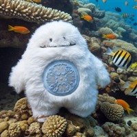 Yeti Plushie - White