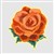 Orange Rose